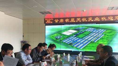 金川區科技局精準發力 提升科技服務能力，多維支撐企業高質量發展